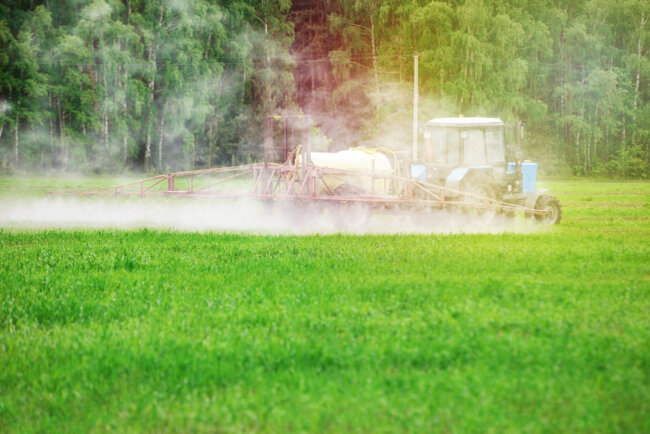 rsz_dreamstime_xxl_150587675